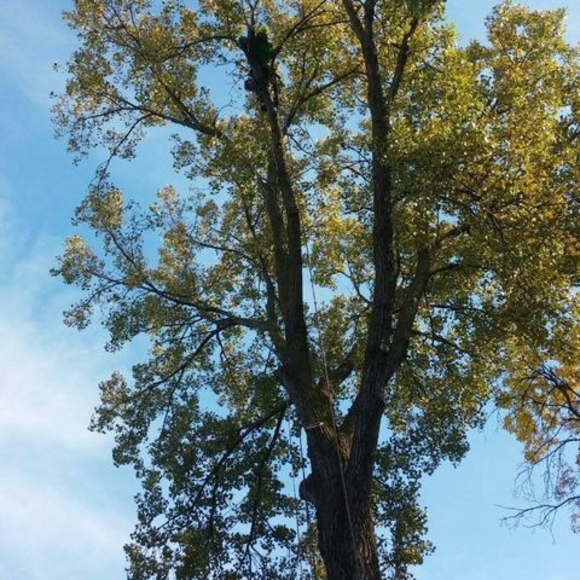 Meet your Posher, Kyle - Picture 1 of 1